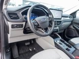 Used 2023 Ford Escape Active w/ Tech Pack #2 image 2