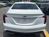 Certified 2024 Cadillac CT5 Luxury w/ Cold Weather Package image 3
