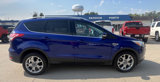 Used 2015 Ford Escape Titanium w/ Equipment Group 301A image 4