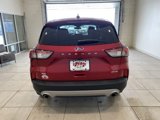 Used 2022 Ford Escape SE w/ Convenience Package image 5