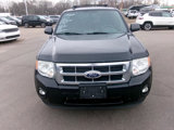 Used 2012 Ford Escape XLT image 2