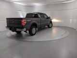 Used 2013 Ford F150 XLT w/ XLT Chrome Pkg image 3