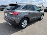 Used 2022 Ford Escape SE w/ Cold Weather Package image 5