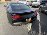 New 2024 Ford Mustang GT Premium image 4