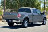 Used 2013 Ford F150 XLT w/ Luxury Equipment Group image 2