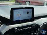 Used 2021 Ford Escape SEL w/ Technology Package image 6