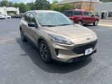 Used 2021 Ford Escape SE w/ SE Sport Appearance Package image 6