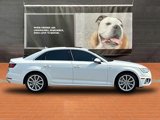 Used 2019 Audi A4 2.0T Premium w/ Convenience Package image 3