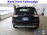 Used 2020 Ford Escape Titanium image 4