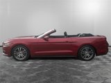 Used 2017 Ford Mustang Premium image 2