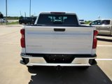 New 2024 Chevrolet Silverado 1500 LT w/ Texas Edition Plus image 4