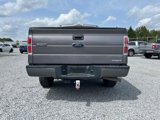 Used 2014 Ford F150 STX w/ Equipment Group 201A Mid image 6