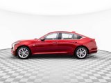 New 2025 Cadillac CT5 Premium Luxury w/ Sun And Sound Package image 4