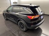 Used 2020 Ford Escape SE Sport image 4