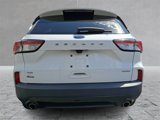 Used 2022 Ford Escape SE w/ SE Sport Appearance Package image 5