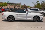 Used 2016 Ford Mustang Convertible w/ Equipment Group 051A image 4