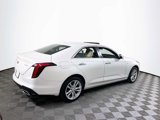 Used 2022 Cadillac CT4 Luxury w/ Sun And Sound Package image 4