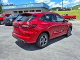 Used 2024 Ford Escape ST-Line image 6