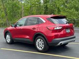 Used 2021 Ford Escape SE w/ Convenience Package image 6