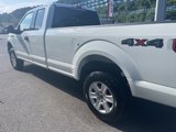Used 2019 Ford F150 XLT w/ Equipment Group 301A Mid image 5