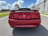 Used 2003 Ford Mustang GT image 4