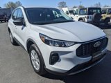 Used 2025 Ford Escape Active w/ Cold Weather Package image 3