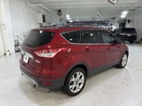 Used 2013 Ford Escape SEL image 5