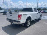 Used 2016 Ford F150 XLT image 3