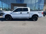 Used 2014 Ford F150 STX w/ Equipment Group 201A Mid image 4