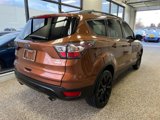 Used 2017 Ford Escape SE w/ SE Sport Appearance Package image 2