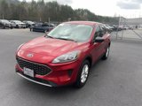 Certified 2022 Ford Escape SE w/ Convenience Package image 3