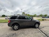 Used 2011 Ford Escape XLT w/ 202A Rapid Spec Order Code image 6