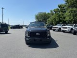 Used 2023 Ford F150 XL w/ STX Appearance Package image 2