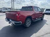 Used 2019 Chevrolet Silverado 1500 LT w/ All-Star Edition image 4