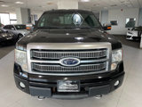 Used 2009 Ford F150 Platinum image 2