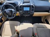 Used 2019 Ford F150 XLT w/ Equipment Group 302A Luxury image 2