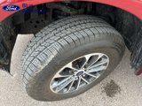 Used 2019 Ford F150 XLT w/ Equipment Group 301A Mid image 2