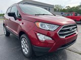 Used 2022 Ford EcoSport SE w/ SE Convenience Package image 3