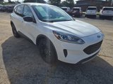 Used 2020 Ford Escape SE Sport image 3