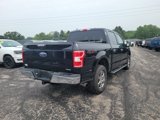 Used 2020 Ford F150 XLT w/ Equipment Group 302A Luxury image 5