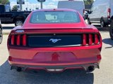 Used 2015 Ford Mustang Premium w/ Equipment Group 201A image 6