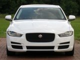 Used 2019 Jaguar XE Prestige image 3