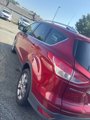 Used 2016 Ford Escape Titanium image 2