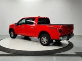 Used 2021 Ford F150 XLT w/ Equipment Group 301A Mid image 6