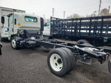 New 2024 Chevrolet Low Cab Forward 5500XD image 3