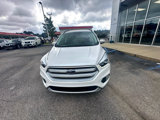 Used 2018 Ford Escape SEL image 5