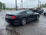 Used 2016 Ford Mustang Premium w/ Equipment Group 201A image 3