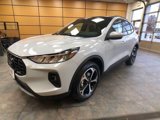 New 2025 Ford Escape ST-Line Select w/ Tech Pack #1 image 3