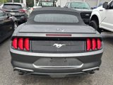Used 2019 Ford Mustang Premium w/ Equipment Group 201A image 5