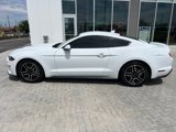 Used 2023 Ford Mustang Premium image 2